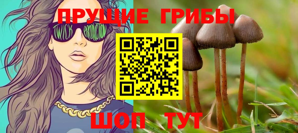 Псилоцибиновые грибы MAGIC MUSHROOMS Строитель