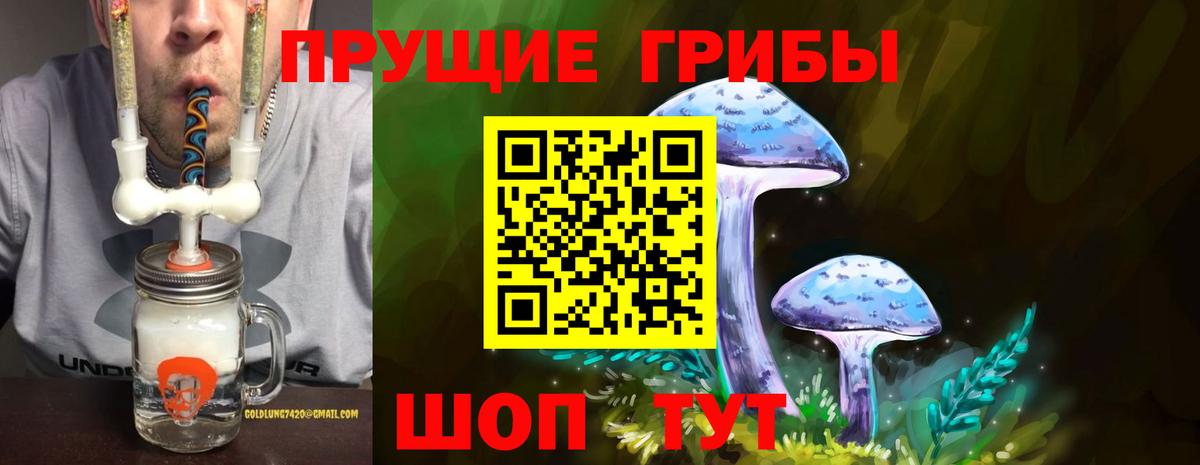 Строитель  Псилоцибиновые грибы мухоморы  Псилоцибиновые грибы GOLDEN TEACHER  Вход с VPN 